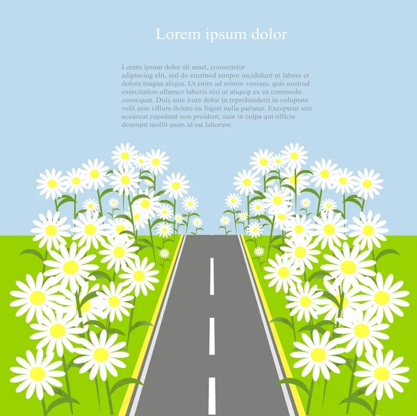 Estrada cinza com margaridas brancas na beira da estrada verde, céu azul, fundo, ilustração vetorial — Vetor de Stock
