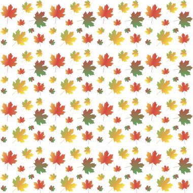 Arka plan beyaz, Sonbahar, vektör çizim üzerinde renkli akçaağaç yaprakları