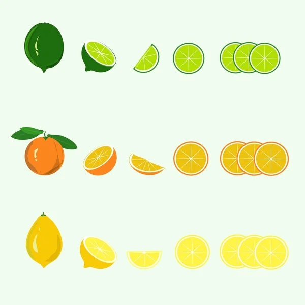 Dibujado a mano lima, naranja, limón, rodajas vector ilustración — Vector de stock