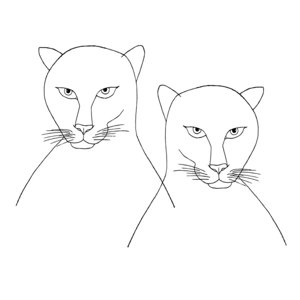 Desenho Preto Dois Gatos Desenho Arte Branca Elemento Estoque Vetor — Vetor de Stock