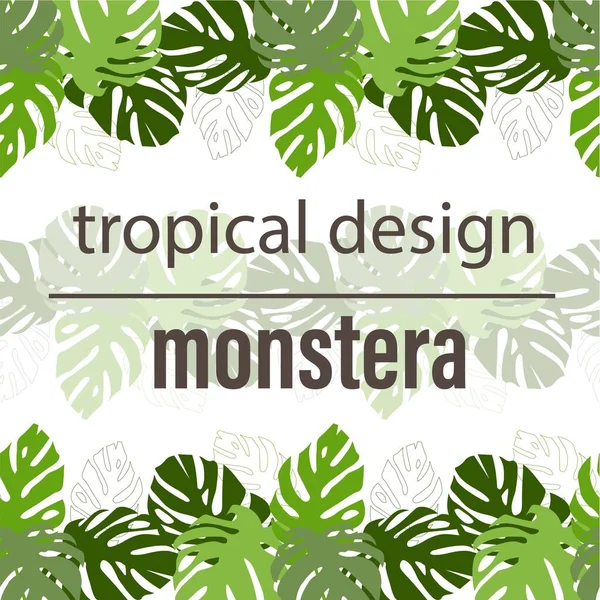 Monstera Deixa Natureza Botânica Arte Design Elemento Estoque Vetor Ilustração — Vetor de Stock