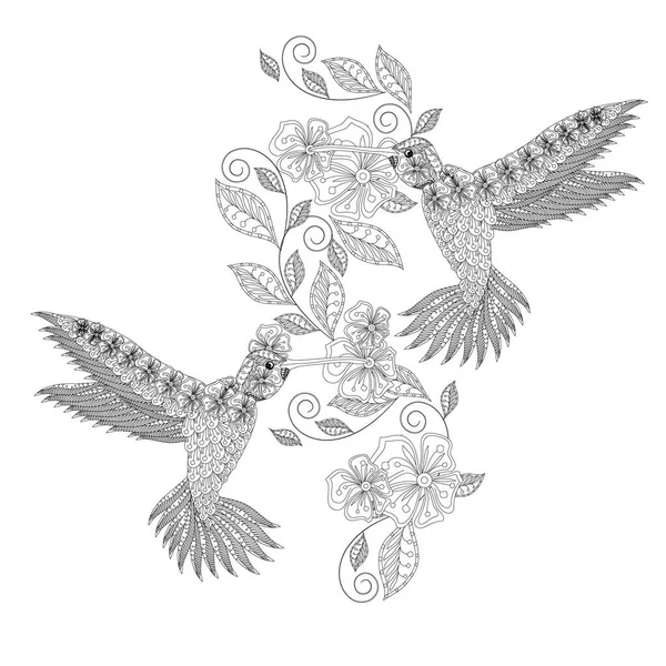 Hummingbird Blomma Klotter Monokrom Färg Sida Konst Design Stock Vektor — Stock vektor