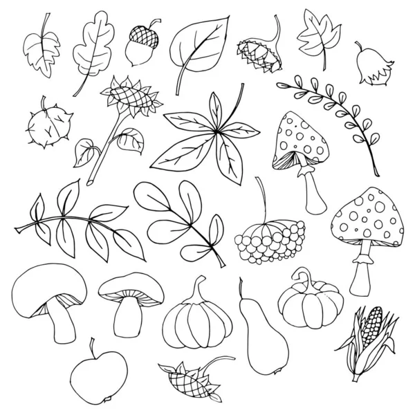 Herfst Monochrome Doodle Set Schets Van Bladeren Pompoen Appel Peer — Stockvector