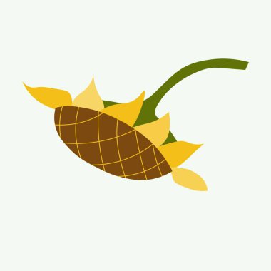 Beyaz tasarım element üzerinde ayçiçeği sarı çiçek web için, baskı için, ambalaj tasarımı için, ürün tasarımı için stok vektör illüstrasyonu