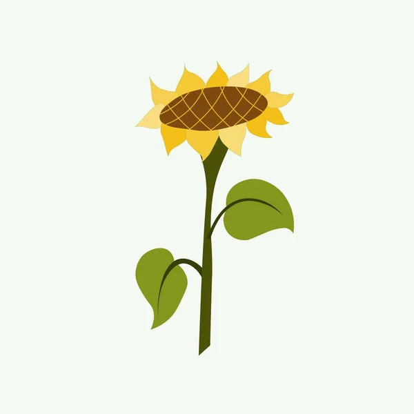 Planta Girasol Flor Amarilla Elemento Diseño Blanco Vector Stock Ilustración — Vector de stock