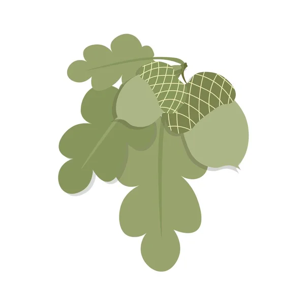 Δρυς Βελανίδι Πράσινα Φύλλα Πολύχρωμο Εικονίδιο Τέχνης Στοιχείο Σχεδιασμού Τροφίμων — Διανυσματικό Αρχείο