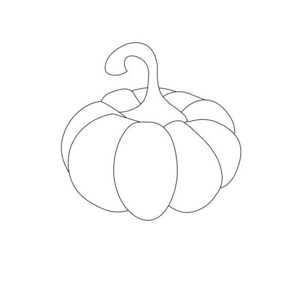 Pumpkin Monochromatické Ikony Výtvarné Prvky Stock Vektorové Ilustrace Pro Web — Stockový vektor