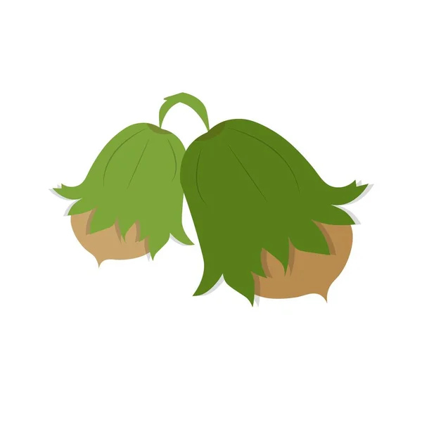 Εικονίδιο Του Φυτού Φουντουκιού Εικονογράφηση Φορέα Υλικού Τροφίμων Για Διαδίκτυο — Διανυσματικό Αρχείο
