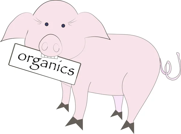 Cerdo rosa con blanco placa de materia orgánica en blanco — Vector de stock