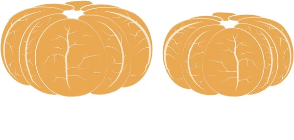 Dos mandarinas naranja cepilladas, venas blancas, sobre blanco — Vector de stock