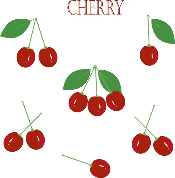 Red cherry, zelené kořeny. listy, na bílém pozadí, Ruční kresba — Stockový vektor