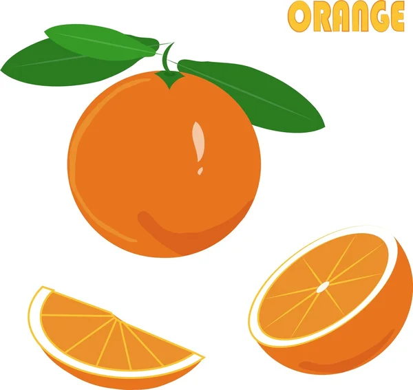 Orange, racines vertes, feuilles, tranche sur fond blanc, dessin à la main, peinture — Image vectorielle