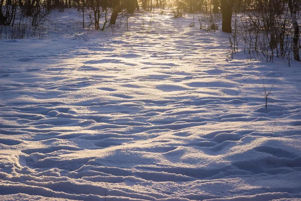 晚上的冬天在雪 — 图库照片