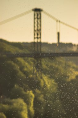 Çayır larvalarını köprüsünde günbatımı, sürüsü