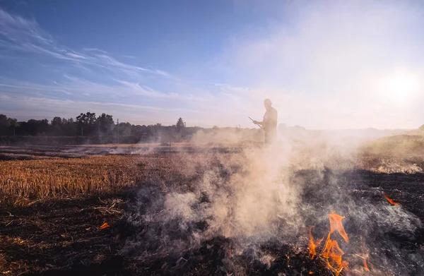 畑の庭で乾いた草を炎 安定した畑は農家によって焼かれる 現場での火災 — ストック写真