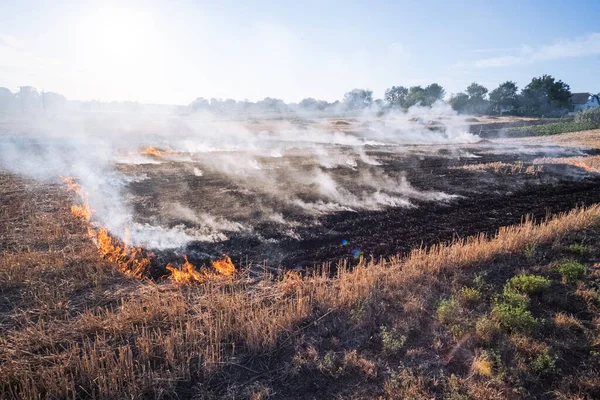 Fire People Burning Old Grass Field — Stock Photo, Image