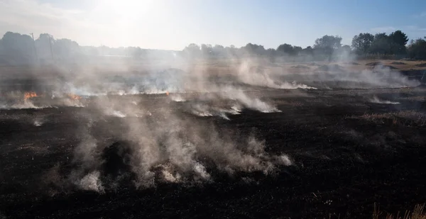 Fire People Burning Old Grass Field — Stock Photo, Image