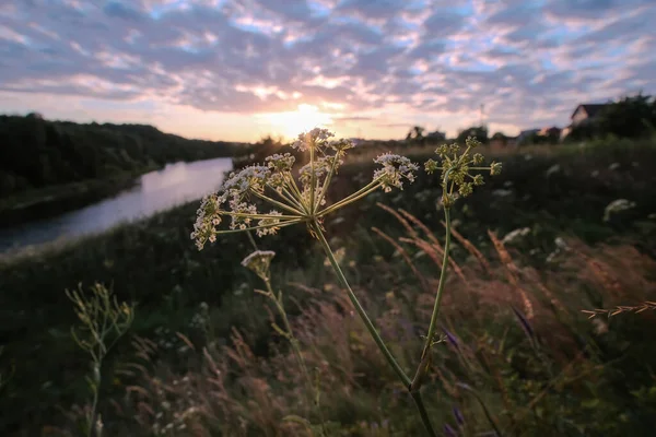 Freccia Nei Raggi Del Sole Tramonto Primo Piano Sullo Sfondo — Foto Stock