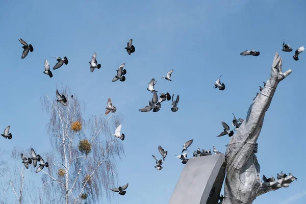鸽子飞过一座历史性的纪念碑 — 图库照片