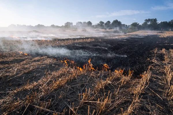 Fire People Burning Old Grass Field — Stock Photo, Image