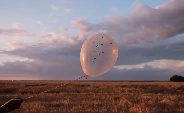 Silueta Mano Femenina Sosteniendo Globo Con Corazones Contra Puesta Del — Foto de Stock