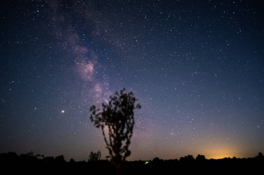 Güzel bir gece gökyüzü, Samanyolu ve çalılar.