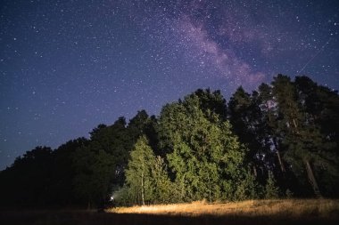 Güzel bir gece gökyüzü, Samanyolu ve ağaçlar.