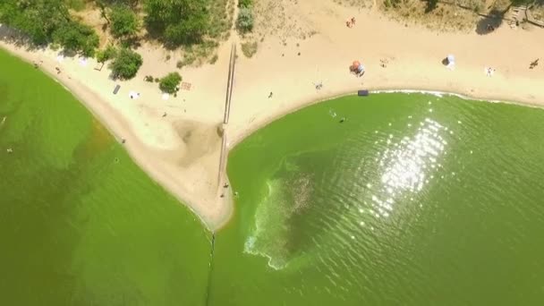 Dirty Polluted Beach Shore Black Sea Pollution Climate Change Ordures — Video