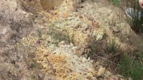 Man graven klei grond met schop op zonnige dag close-up. — Stockvideo