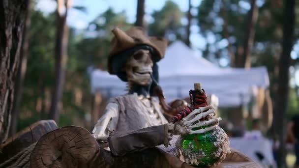 手に毒を持つ海賊の骨格の装飾 — ストック動画