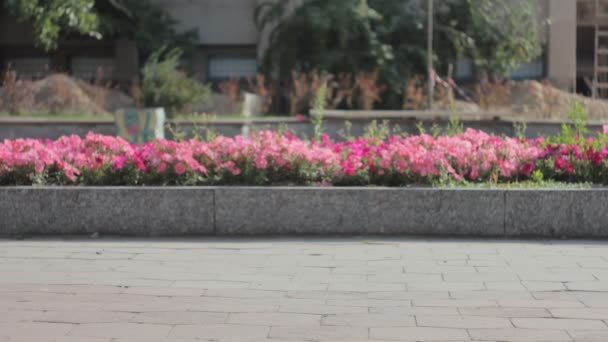 Güz sokağında kadın bacakları ileri ve geri — Stok video