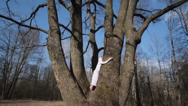 Ormandaki büyük ağaca sarılıyor, doğayı seviyor. Geniş açı çekimi — Stok video