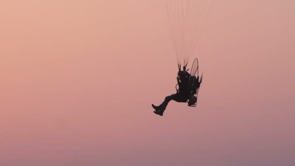 Een gemotoriseerde paraglider vliegt in de avondlucht — Stockvideo