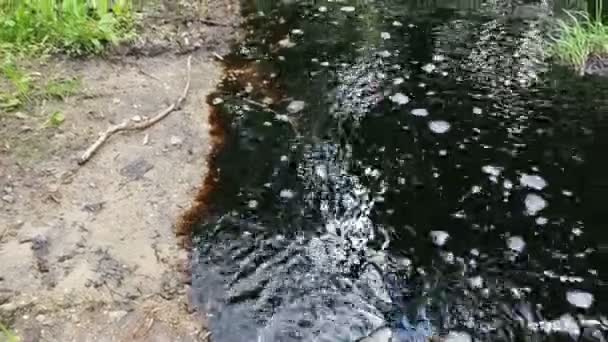 Müll und Umweltverschmutzung im Fluss verderben die Umwelt. Schwarzer Strom — Stockvideo