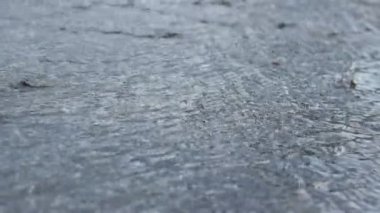 Şiddetli yağmurdan sonra sel basmış bir caddede araba sürüyor.