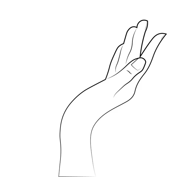 Skizze der Hände — Stockvektor