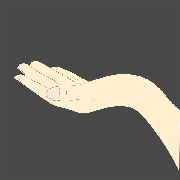 Sketsa tangan Stok Vektor