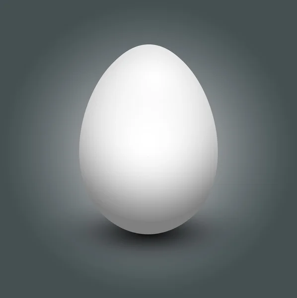 Beyaz yumurta. vektör çizim.