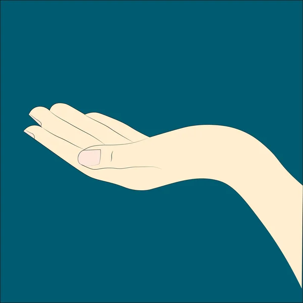 Hands isolated. Vector illustration. — Stock Vector