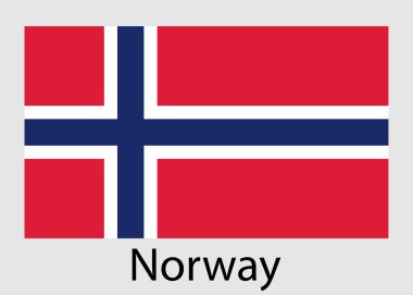 Norveç bayrağı. vektör çizim.