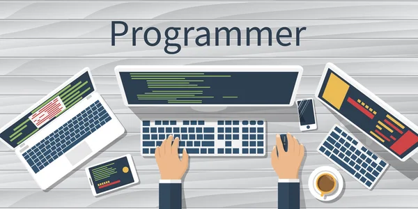 Programador en la computadora. Vector — Vector de stock