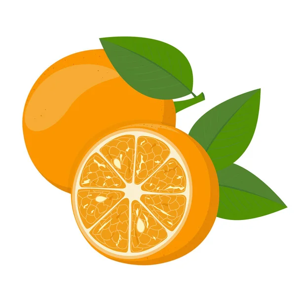 Uma fruta laranja saudável. —  Vetores de Stock