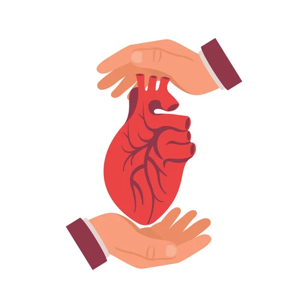 Handen beschermen de menselijke hartvector. — Stockvector