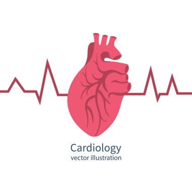 Kardiyoloji konsepti. İnsan kalbi kırmızı kalp atışı yaşam çizgisi, sağlık hizmetinin sembolü.