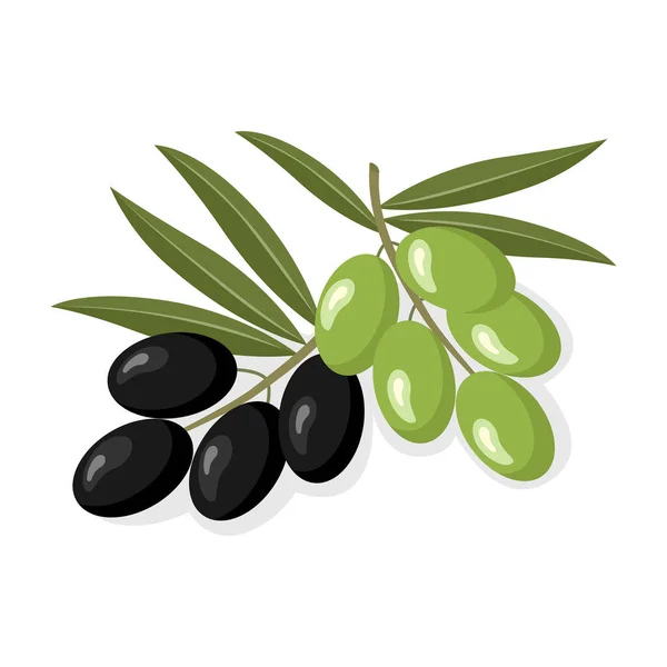 Olivgrüne und schwarze Kollektion — Stockvektor