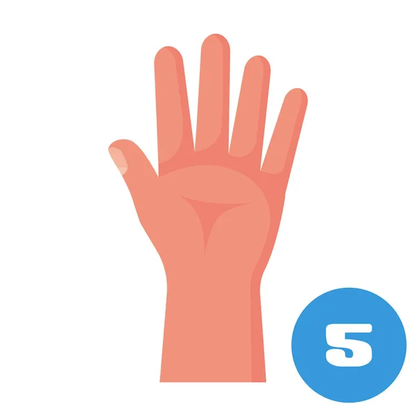 Cinco dedos. 1 2 3 4 5 vector de icono plano — Vector de stock