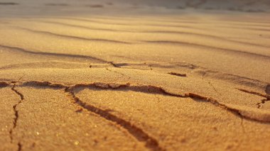 Sabahları güzel altın çölde kum