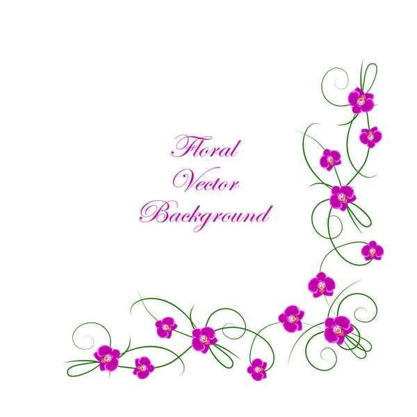 Floral vector achtergrond — Stockvector