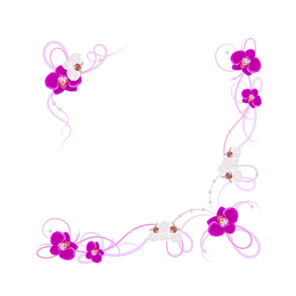 Orchidea virág elrendezése — Stock Vector