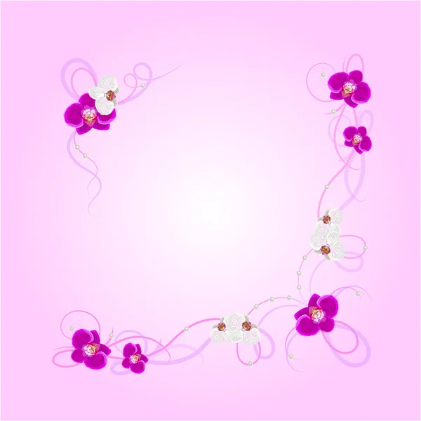 Arreglo de flores de orquídea — Vector de stock